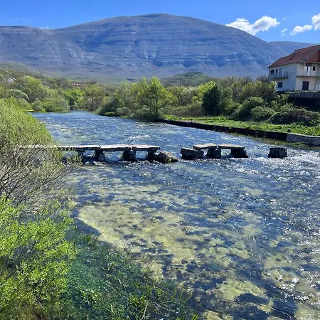 Dinara - * Cetina